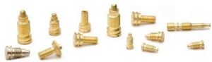 Brass Exasting Screws