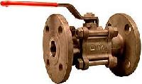 Stainless Steel Ball Valves