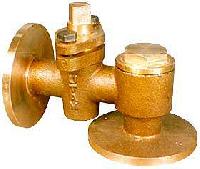 Bronze Feed Check Valves