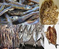 Dried Fishes