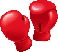 kickboxing gloves