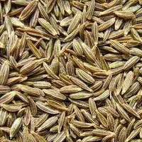 Cumin Seeds, Jeera