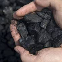 Coal