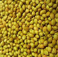 Coriander Seeds