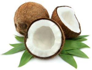 Fresh Coconut