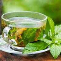 Indian Green Tea
