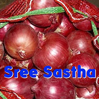 Fresh Nasik Red Onion