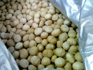 Tiger Nuts Manufacturer Tiger Nuts Exporter Tiger Nuts Supplier Malaysia