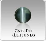 Catseye - (lehsunia)