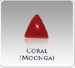 Coral - (moonja)