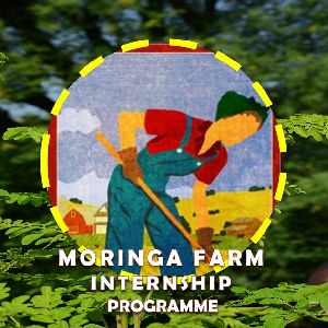 Moringa Farm Stay Training Programe