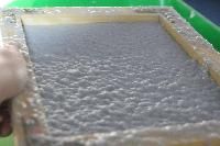 Paper Pulp