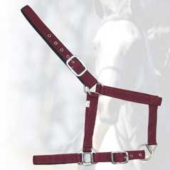 Nylon Horse Halters - 303-2206