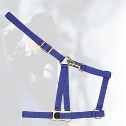 Nylon Horse Halters - 303-2207