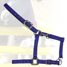 Nylon Horse Halters - 303-2209