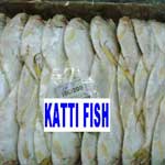 Katti Fish