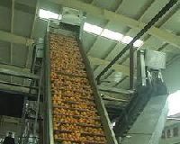 Mango Pulp Making Machine