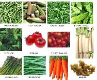 Frozen Vegetables