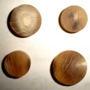 Buffalo Horn Buttons - 01