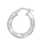 Plated Hoop Earrings DTSE000008