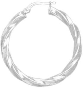 Plated Hoop Earrings DTSE000030