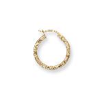 DTSE02961 Plated Hoop Earrings