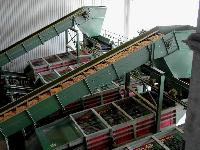 trough chain conveyors