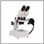 Zoom Binocular Microscope