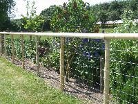 Wire Fencing