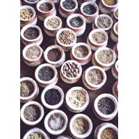 Seed Pots Pmp - 008