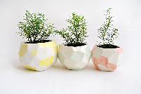 ceramic decorated planters