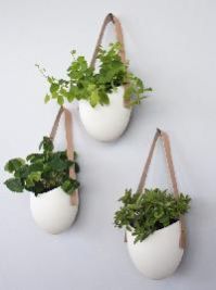 Hanging Pots