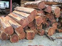 teak timber logs