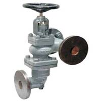 Cast Iron Accessible Feed Check Valve