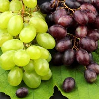 Fresh Grapes