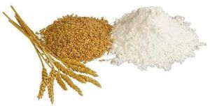 Wheat Flour (Atta)