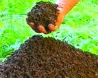 Bio Compost