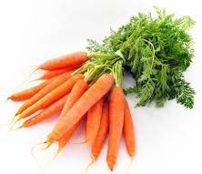 Fresh Carrot