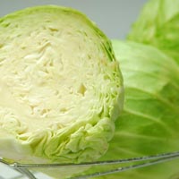 Fresh Cabbage