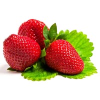 Fresh Strawberry