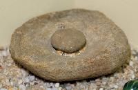 Grinding Stone