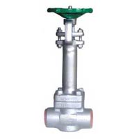 Gate Valve Extended Stem