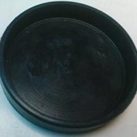 Oil Seals