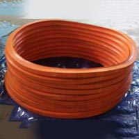 Oil Seals