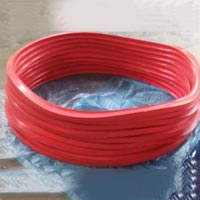 Oil Seals
