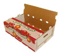 Fruit & Vegetable Packing Box