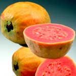 Pink Guava Pulp