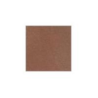 Brown SandStone