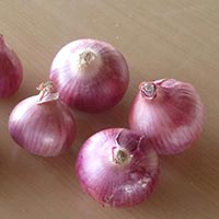 Nashik Onion