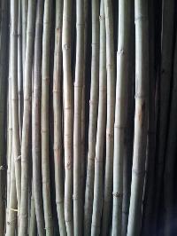 Assam Medium Bamboo